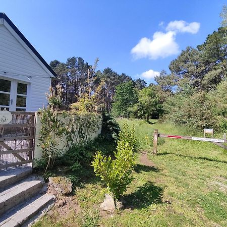 Chalet Cosy, Plages A Pieds. Morbihan. Plouhinec  Esterno foto