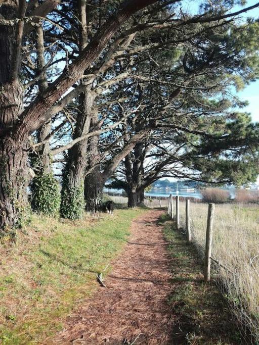Chalet Cosy, Plages A Pieds. Morbihan. Plouhinec  Esterno foto