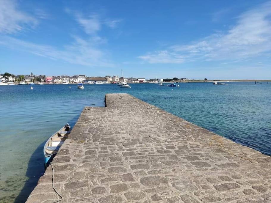 Chalet Cosy, Plages A Pieds. Morbihan. Plouhinec  Esterno foto